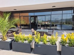 Pictures from our office